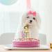 10pcs Cake Topper Acrylic Cake Numbers 0-9 Numbers with Crown Happy Birthday Cupcake Toppers Sticks Cake Picks Cake Decorations for Wedding Party Birthday Cake Decorating - Buy Online on GoSupps.com