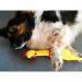 Proleo 4-Pack Yellow Rubber Squeaking Chicken Toys Durable Novelty Decompression Gadgets for All Ages - Buy Online on GoSupps.com