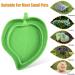 2Pcs Tortoise Water Bowls Reptile Feeding Dish Leaf Shape Reptile Food Water Bowl Feeding and Water Dish Reptile Accessories Tortoise Water Dish Tortoise Cage Accessories - Buy Online on GoSupps.com