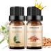 Sedbuwza Sandalwood Jasmine Essential Oil Set Sandalwood Fragrance Oil Jasmine Scent Oil Set for Diffuser Aromatherapy Massage Soap Candle Making 2 x 10 ml Sandalwood + Jasmine