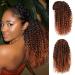 Colorfulpanda Afro Kinky Curly Ponytail Black/Auburn for Black Women Drawstring Ponytail Synthetic Hair Extension Curly Ponytail 14inch with Clip-in Hairpiece Ginger