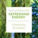 Glade Aromatherapy Reed Diffuser - Refreshing Energy Essential Oils with Rosemary & Juniper 80ml - Buy Online on GoSupps.com