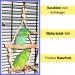 2X Double Swing Bird Swing for Budgies | Natural Wood Bird Perch | Shop Internationally - Buy Online on GoSupps.com