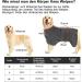 Dog Wadry Coat - Quick Drying Bath Towel for Large & Medium Dogs | Absorbent Adjustable Collar & Waist Bathrobe | Gray M - Buy Online on GoSupps.com