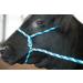 Weaver Leather Stierwalt Breaking Halter - Blue/Hurricane Blue/Lime Zest - Buy Online on GoSupps.com