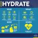 TRUWILD Hydrate Vegan Electrolyte + Amino Acid Drink Mix Powder - Watermelon Lemonade Flavor, 20 Servings - Post-Workout Muscle Recovery & Immune Support with Clean Sugar-Free Formula & Magnesium - Buy Online on GoSupps.com