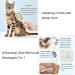 Cabbage Pets Sticky Brush 2.0 for Cats - 4 in 1 Universal Pet Knots Remover with Wet Wipes & Cotton Towels | Best Cat Brush for Grooming & Shedding - Buy Online on GoSupps.com