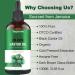YogerYou Jamaica Organic Black Castor Oil - Cold Pressed for Hair, Skin, and Nails - Hexane Free and Unrefined - Glass Bottle - Eyelash and Eyebrow Growth Serum - Buy Online on GoSupps.com