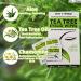 Tea Tree Oil Eyelid Wipes 60 Sachets with Aloe and Chamomile - Gentle Daily Cleanser for Dry, Irritated Eyes - Buy Online on GoSupps.com