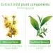 Buy LANBENA Pore Minimizer Serum - Oil Control & Pore Tightening | Vegan Formula with Centella Asiatica | International Shipping - Buy Online on GoSupps.com