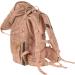 Buy Bold L ssig Children's Gym Bag - Sports Bag with Backpack Function & School String Bag in Bold Leaves Caramel | Best International Shipping - Buy Online on GoSupps.com