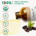 PHATOIL 118ML/4 Oz Organic Rosehip Seed Oil & Jojoba Oil for Skin Face Body Care Pure and Natural Cold Pressed Base Carrier Oil - Buy Online on GoSupps.com