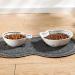 OPUL 8 Style PVC Pet Dog Cat Puppy Kitten Dish Bowl Food Water Placemat Mat Paw Shape UK (Grey) - Buy Online on GoSupps.com