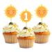 HOKPA 1st Birthday Cupcake Toppers Sun Cupcake Toppers Sun Cake Decoration Food Fruit Picks for Baby Shower Birthday Decorations Sun and 1st cupcake toppers