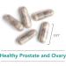 Nutricology Healthy Prostate & Ovary - 180 Vegetarian Capsules for Optimal Support - Buy Online on GoSupps.com