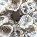Natural Magic 1pc Natural Agate Quartz Cluster Crystal Points Geode Minerals Specimen Wealth Gifts Natural s and Minerals ERBDRGAZ - Buy Online on GoSupps.com