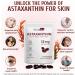 Daiasns Astaxanthin 12mg Astaxanthin Antioxidant Supplements Supports Eye Joint Internal Circulation and Skin Health - Non-GMO 120 Softgels - 4 Month Supply - Buy Online on GoSupps.com
