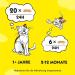Dreamies Mix Cat Snacks with Salmon & Cheese - Crispy & Creamy Treats - 6 x 60g Pack - International Shipping Available - Buy Online on GoSupps.com