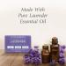 Sunaroma Lavender Soap with Shea Butter & Vitamin E - Nourishing Oil Soap (Pack of 1) - Buy Internationally - Buy Online on GoSupps.com