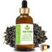 Buy Pure Herbs Sugandh Kokila Essential Oil (Cinnamomum Cecidodphne) - 10ml | Natural Aromatherapy & Online Shipping Worldwide - Buy Online on GoSupps.com