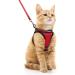 Rabbitgoo cat dishes cat line set cat dishes with leash dishes cats outbreakingly adjustable soft with reflective stripes for cats kitten puppies cat harness leash red m (1 Pack) red