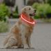 Coolzon LED Luminous Dog Collar - Waterproof & Adjustable with 3 Light Modes for Small & Medium Pets - Super Bright Red - Buy Online on GoSupps.com