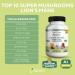GREENVIFY Mushrooms Lion's Mane - Brain Health Support Supplement - Mushroom Supplement to Support Focus & Memory Function - Immune & Nervous System Support Supplement (1) - Buy Online on GoSupps.com