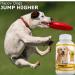 Omega-3 Fish Oil & Turmeric Curcumin Combo for Dogs - All-Natural Antioxidant - Shiny Coat & Brain Health - Eliminates Diarrhea, Gas & Joint Pain - 240 Tasty Chews - Buy Online on GoSupps.com