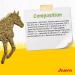 JOSERA Mash Plants & Vegetables 15 kg | Premium Horse Food | Flax Seed and Mineral Mash | Grain Free | Reduced Sugar and Starch Content | 15kg Bag - Buy Online on GoSupps.com