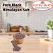 Himalayan Black Salt - Kala Namak Coarse - 500g Kala Namak - Contains 84+ Minerals - Perfect for Cooking - Buy Online on GoSupps.com