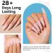 AIMEILI 5 in 1 Rubber Base Gel Sheer Color Nail Polish - 10ml (582) - Buy Online on GoSupps.com