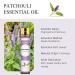 Aoruilia 10ml Patchouli Essential Oil Pure Therapeutic Grade Patchouli Oils for Diffusers for Home Aromatherapy Diffuser Bath Relax Skin Care DIY Soaps Perfume & Candles Making Patchouli 10 ml (Pack of 1) - Buy Online on GoSupps.com