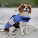 Dog Life Jacket Vest | Lightweight & Reflective Pet Lifesaver with Lift Handle | Leash Ring | Blue - Small - Buy Online on GoSupps.com