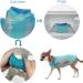 Dog Cooling Vest - Lightweight & Breathable Summer Jacket for Small to Medium Dogs | Reflective Stripes & ICE Cooling T-Shirt in Green - Buy Online on GoSupps.com