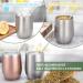Telanks Mate Becher - 340ml Double-Walled Insulated Stainless Steel Mate Cup with Straw & Brush | Perfect Yerba Mate Mug (Silver) - Buy Online on GoSupps.com