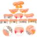 Pretyzoom Fake Dentures - 10 Pieces of Artificial Ugly Teeth for Halloween Cosplay | Funny PVC False Teeth - Buy Online on GoSupps.com