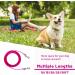 Haiyuan Dog Tie Out Cable - 10/15/20/25/30 FT Steel Wire Dog Runner Durable Clips Pink Dog Chain for Outdoors Supports Dogs up to 165 LBS - Buy Online on GoSupps.com