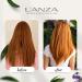 L'ANZA Healing ColorCare 33.8 Fl Oz - Color-preserving Natural Formula - Buy Online on GoSupps.com