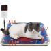 Pet Heating Pad for Cats Dogs - Waterproof, Auto Power Off, Adjustable Temperature - 20 x 20 Indoor Warming Mat - Buy Online on GoSupps.com
