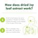 Prospan 100mL Helixia Ivy Leaf Extract - Relieves Cough, Loosens Mucus & Phlegm - Buy Online on GoSupps.com