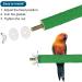 Patikil 0.6x9.8 Vogel Paw Bird Wood Barsch Stand - Ideal Cage Accessory for Small Birds Parrots and Lovebirds - Green - Buy Online on GoSupps.com