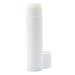 Lip Balm Bulk Unlabeled - Made in USA Bulk Chapstick - Natural Ingredients Vitamin E Shea Butter - Custom Chapstick Bulk For Party & Wedding Favors (100 Count Peppermint) - Buy Online on GoSupps.com