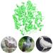 Levemolo 100 Pcs Pigeon Anklet Chicken Thighs Numbered Opening Pigeon Ring Chicken Foot Ring Baby Drumstick 1.3X1.3CM Green - Buy Online on GoSupps.com