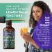 Florida Herbs Organic Lemon Balm Tincture - 2 Fl Oz Extract Drops - Made in USA - Non-GMO - Buy Online on GoSupps.com