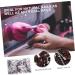 POPETPOP 1 Box Boxed Manicure Circle Nail Polishing Band Grinding Wheel Sand Band Nail Grinding Head Nail Care Tool Nail Accessories Nail Polishing Head Resin Abrasive Cloth Drill Frosted 1.27x0.8cm Brown - Buy Online on GoSupps.com