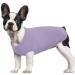 Hjumarayan dog sweater Small dogs - thin dog sweater washable dog sweater elastic sweater dog striped dog shirt dog sweaters for chihuahua yorkshire terrier (purple XS) XS purple