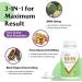 Organic 99% Ultra Purity NMN + Trans-Resveratrol 3-in-1 Advanced Formula Supplement - 1100mg - 120 Capsules x 2 - Maximum Antioxidant & Anti-Aging Support for Cellular Repair, Boost NAD+, Immune System, and Energy - Buy Online on GoSupps.com