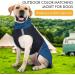 XXL XX-Large Blue+Yellow Dog Warm Coat - Windproof & Waterproof Winter Jacket for Cold Weather with Leash Hole - Buy Online on GoSupps.com