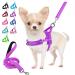 Eyein no-pull dog harness with leash dishes with soft padded reflective adjustable adjustable breast dishes for puppies small dogs large dogs pets cats (purple s) purple s