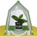 2 Pcs Portable Habitat | Insect Habitat Cage Catcher Plant Net with Hook Polyester Mesh Cage Enclosure for Caterpillars Stick Insect 12.2x12.2x15.7 Inch Kot-au 2 Pcs 31*31*40cm - Buy Online on GoSupps.com